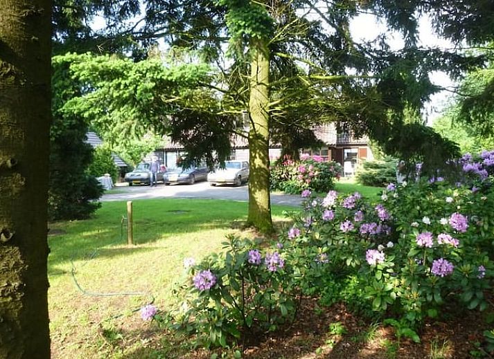 Verblijf 291052 - Vakantiewoning Achterhoek - Vakantiehuisje in Zelhem