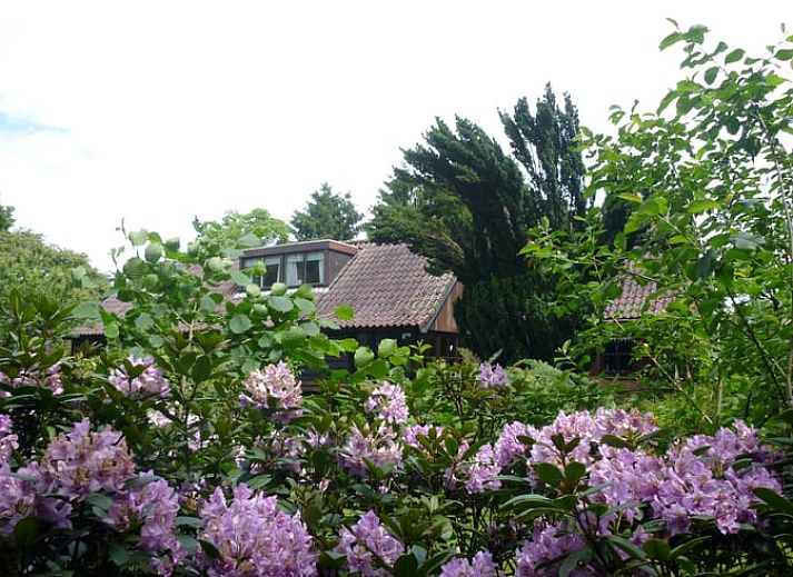 Verblijf 291052 - Vakantiewoning Achterhoek - Vakantiehuisje in Zelhem