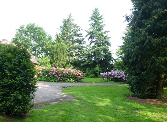 Verblijf 291052 - Vakantiewoning Achterhoek - Vakantiehuisje in Zelhem