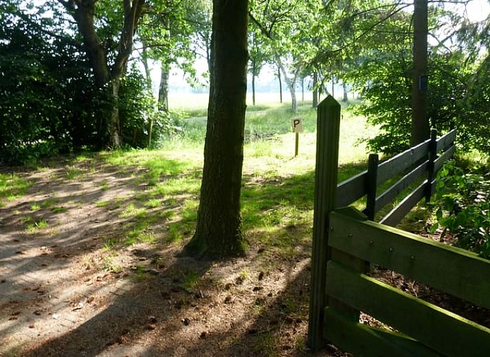 Verblijf 291052 - Vakantiewoning Achterhoek - Vakantiehuisje in Zelhem