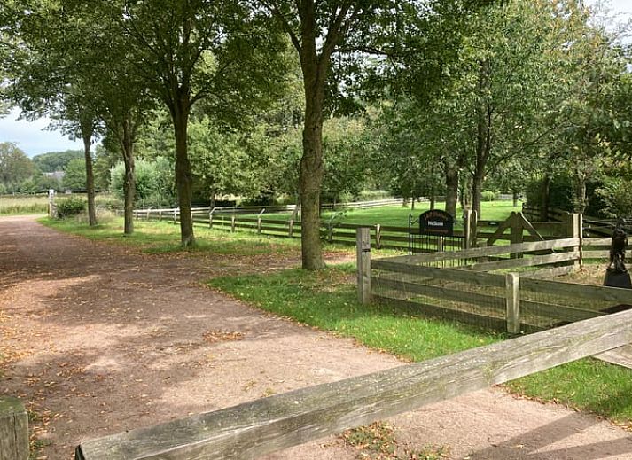 Unterkunft 291054 - Ferienhaus Achterhoek - Vakantiehuis in Zelhem