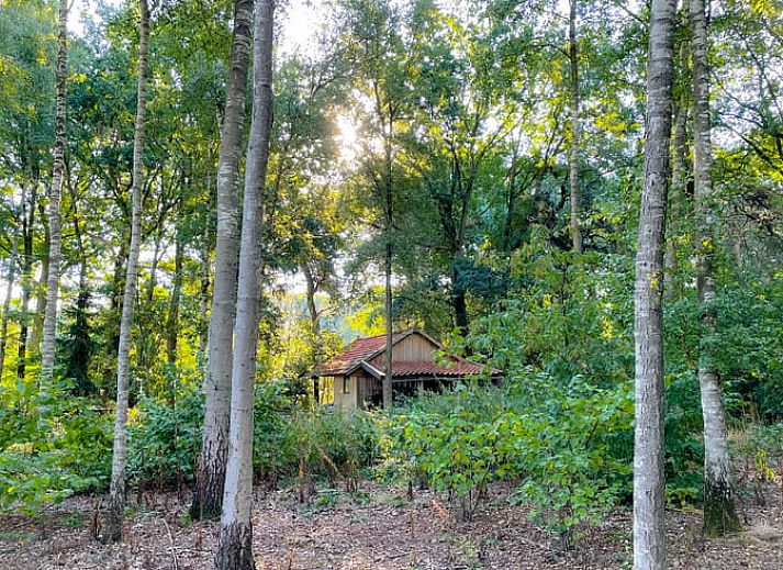 Unterkunft 291057 - Ferienhaus Achterhoek - Vakantiehuis in Zelhem