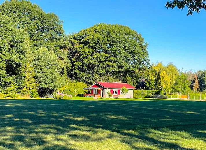 Unterkunft 291057 - Ferienhaus Achterhoek - Vakantiehuis in Zelhem