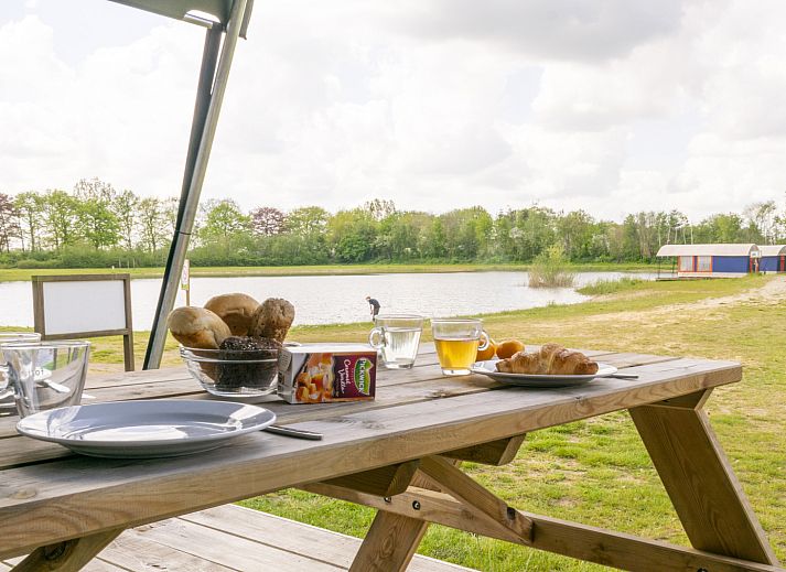 Verblijf 291058 - Tenthuis Achterhoek - Safaritent