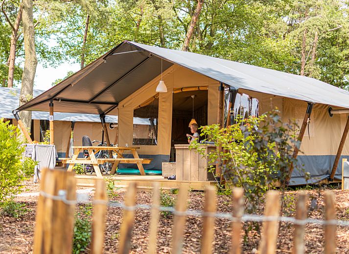 Unterkunft 291059 - Zelthaus Achterhoek - Luxe safaritent + sanitair