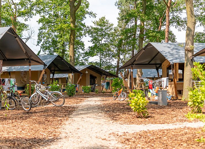 Unterkunft 291059 - Zelthaus Achterhoek - Luxe safaritent + sanitair
