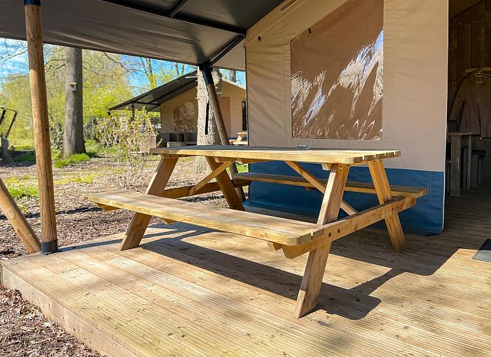 Unterkunft 291059 - Zelthaus Achterhoek - Luxe safaritent + sanitair