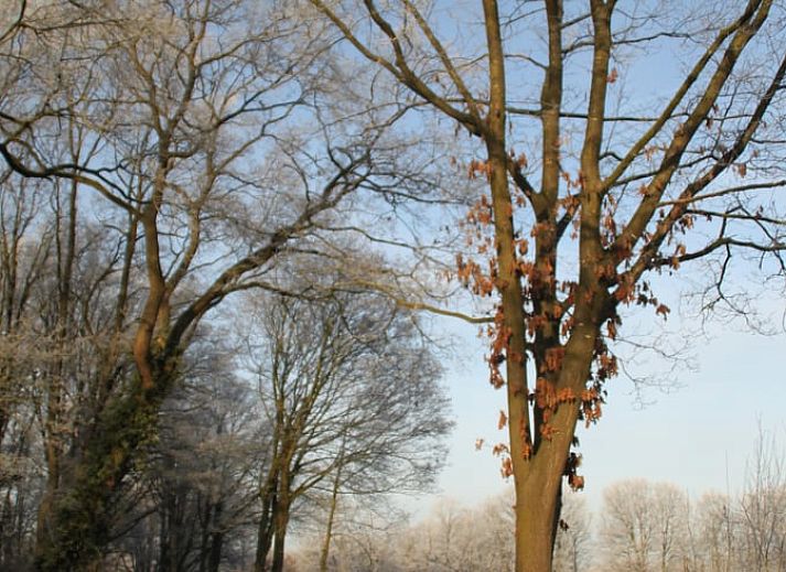 Gezellige binnenruimte van Vakantiehuis in Zelhem, Achterhoek, Gelderland, met moderne keuken en comfortabele slaapruimte.
