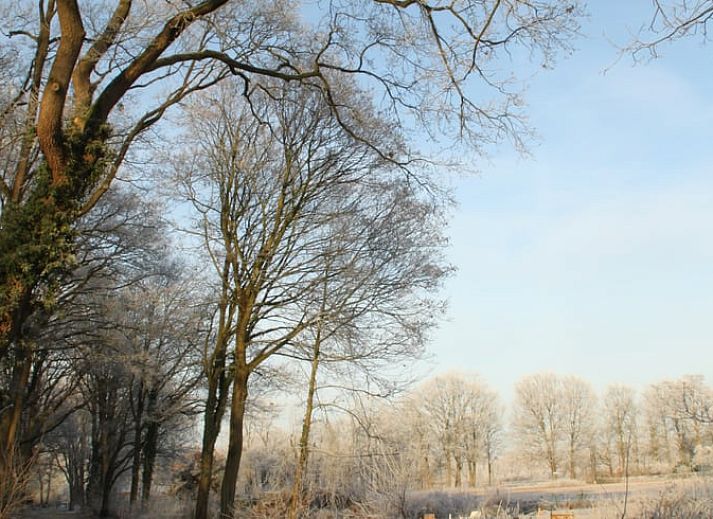 Moderne binnenruimte van Vakantiehuis in Zelhem, Achterhoek, met houten interieur en compacte keuken in Gelderland.