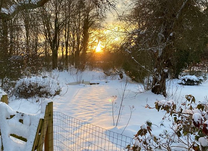 Gemuetlicher Innenbereich des Ferienhauses in Zelhem, Achterhoek, mit Blick auf die gruene Natur durch ein schoenes Fenster.
