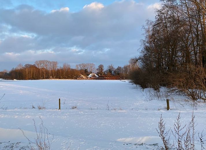 Gemuetlicher Innenbereich des Ferienhauses in Zelhem, Achterhoek, mit Blick auf die gruene Natur durch ein schoenes Fenster.