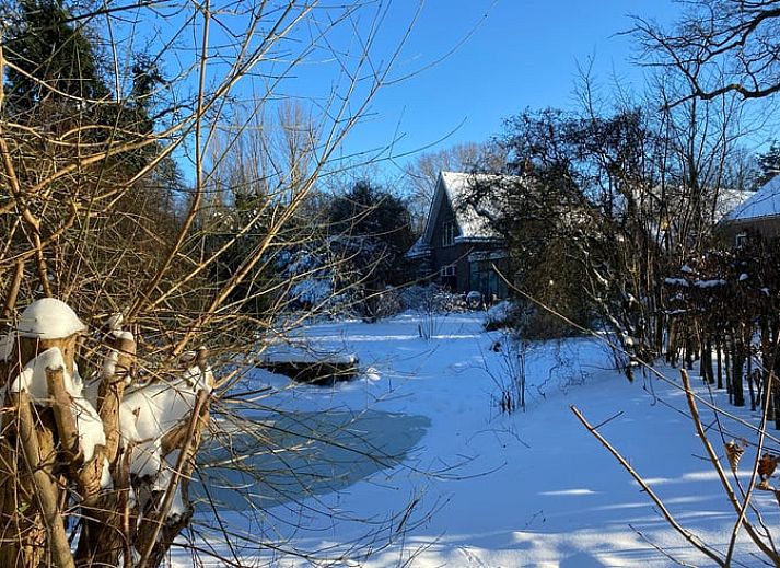 Gemuetlicher Innenbereich des Ferienhauses in Zelhem, Achterhoek, mit Blick auf die gruene Natur durch ein schoenes Fenster.
