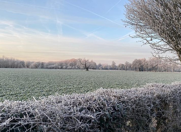 Moderne Kueche im Ferienhaus in Zelhem, Achterhoek, Gelderland mit Holzinterieur und Blick auf die gruene Umgebung.