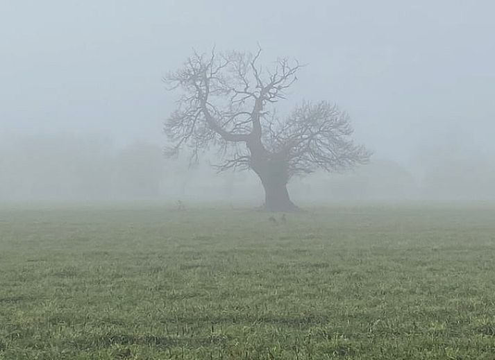Moderne Kueche im Ferienhaus in Zelhem, Achterhoek, Gelderland mit Holzinterieur und Blick auf die gruene Umgebung.