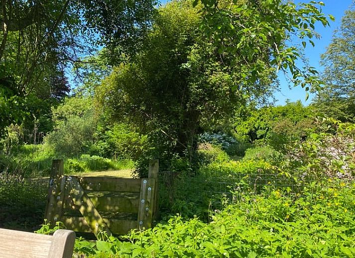 Moderne Kueche im Ferienhaus in Zelhem, Achterhoek, Gelderland mit Holzinterieur und Blick auf die gruene Umgebung.