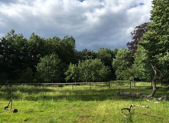 Moderne Kueche im Ferienhaus in Zelhem, Achterhoek, Gelderland mit Holzinterieur und Blick auf die gruene Umgebung.