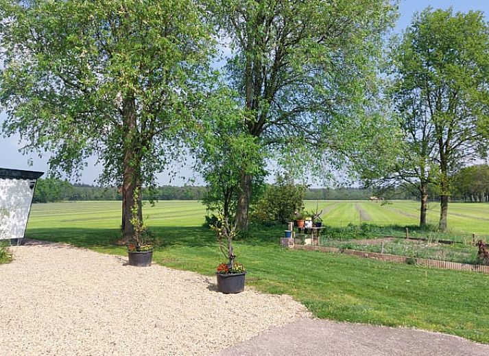 Ferienhaus in Zelhem, ein charmantes Ferienhaus im gruenen Achterhoek, Gelderland, mit einer einladenden Terrasse und einem ueppigen Garten.