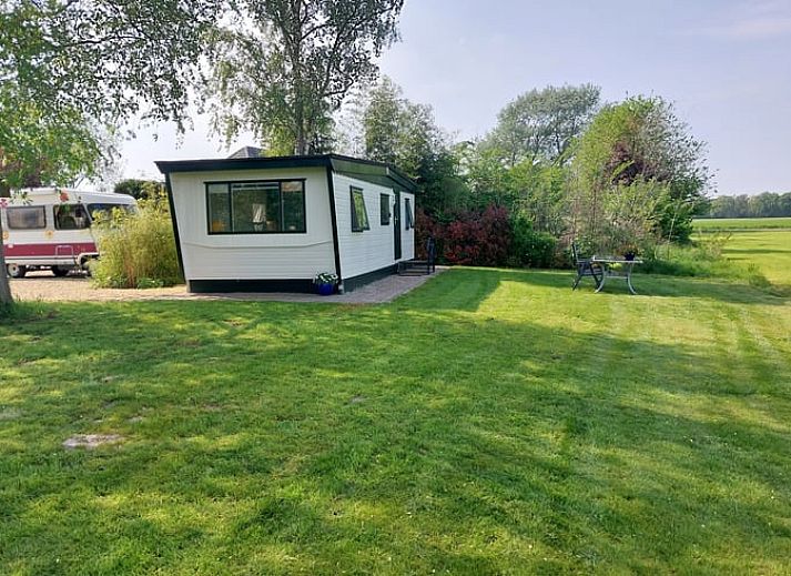 Ferienhaus in Zelhem, ein charmantes Ferienhaus im gruenen Achterhoek, Gelderland, mit einer einladenden Terrasse und einem ueppigen Garten.