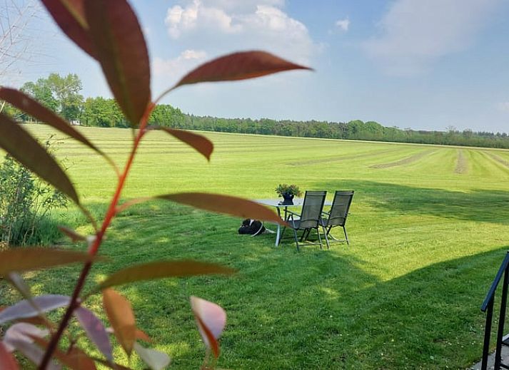 Ferienhaus in Zelhem, ein charmantes Ferienhaus in Achterhoek, Gelderland, mit einem gruenen Garten und laendlicher Umgebung.