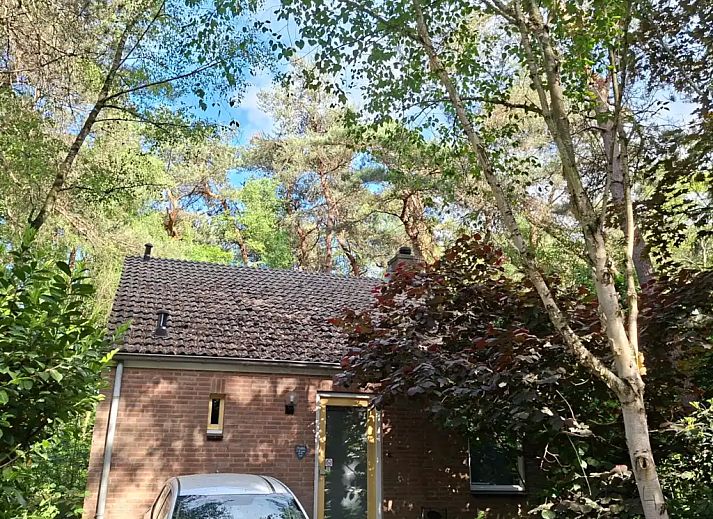 Unterkunft 291089 - Ferienhaus Achterhoek - Huisjebloemenhart