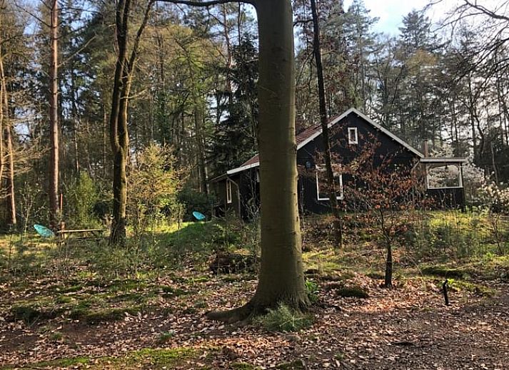 Guest house 291105 - Holiday property Achterhoek - Vakantiehuisje in Epse