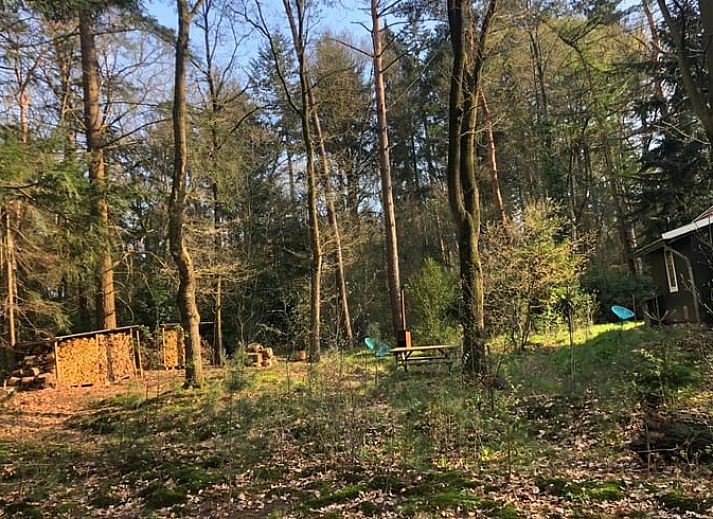 Guest house 291105 - Holiday property Achterhoek - Vakantiehuisje in Epse