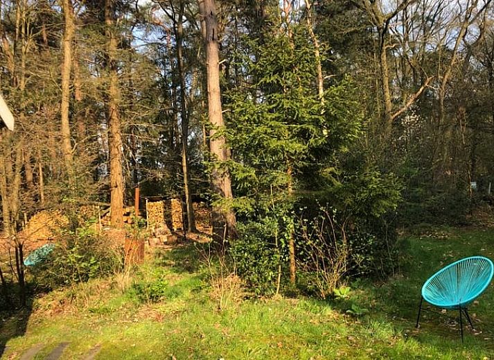 Guest house 291105 - Holiday property Achterhoek - Vakantiehuisje in Epse