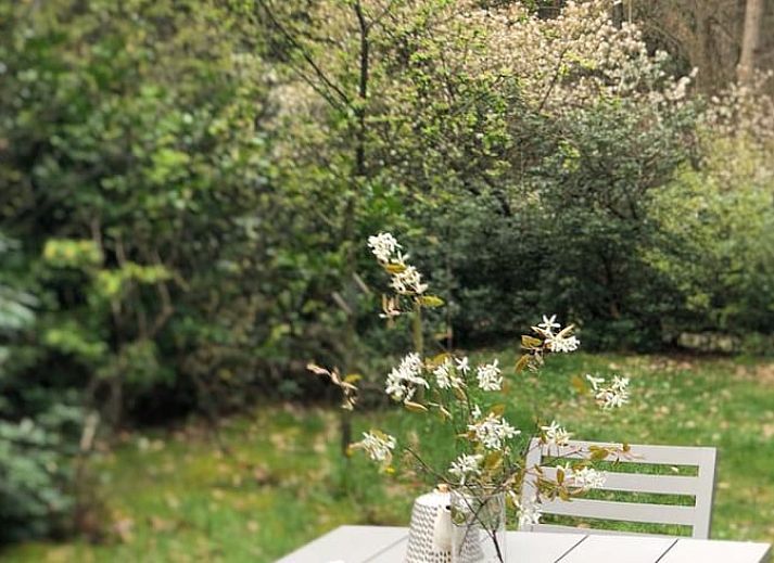 Guest house 291105 - Holiday property Achterhoek - Vakantiehuisje in Epse