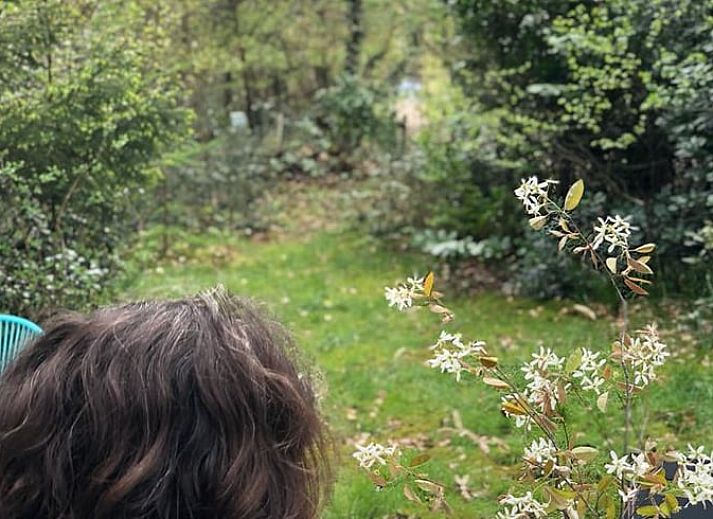 Guest house 291105 - Holiday property Achterhoek - Vakantiehuisje in Epse