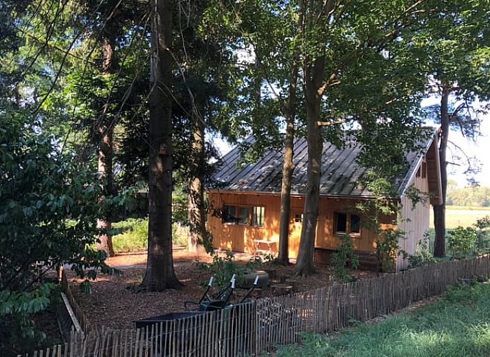 Gemuetliche Einrichtung des Ferienhauses in Epse, Achterhoek, mit moderner Ausstattung.