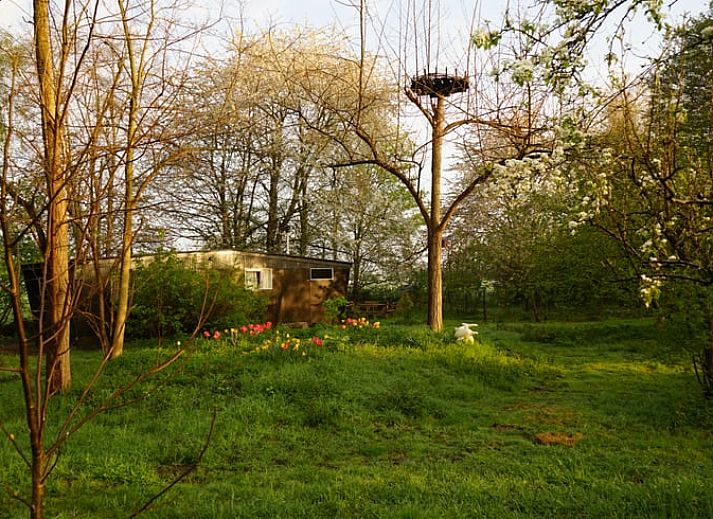Unterkunft 291113 - Ferienhaus Achterhoek - Vakantiehuisje in Epse