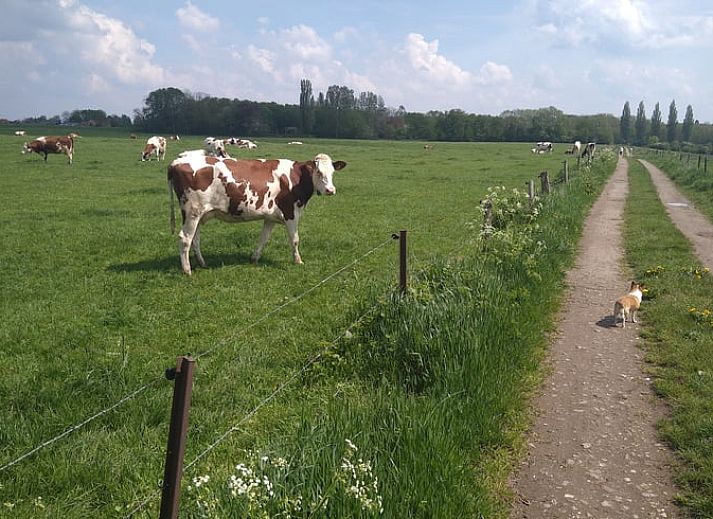 Unterkunft 291113 - Ferienhaus Achterhoek - Vakantiehuisje in Epse