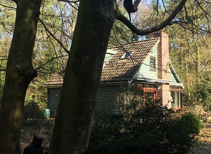 Verblijf 291115 - Vakantiewoning Achterhoek - Huisje in Epse