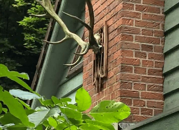 Verblijf 291115 - Vakantiewoning Achterhoek - Huisje in Epse