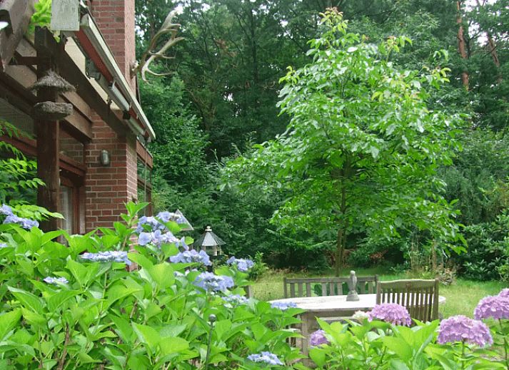 Verblijf 291115 - Vakantiewoning Achterhoek - Huisje in Epse