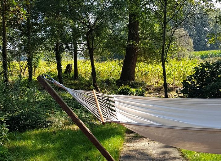 Unterkunft 291118 - Ferienhaus Achterhoek - Vakantiehuisje in Epse