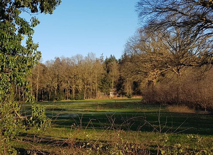Unterkunft 291118 - Ferienhaus Achterhoek - Vakantiehuisje in Epse