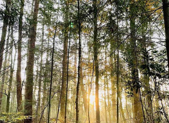 Unterkunft 291118 - Ferienhaus Achterhoek - Vakantiehuisje in Epse