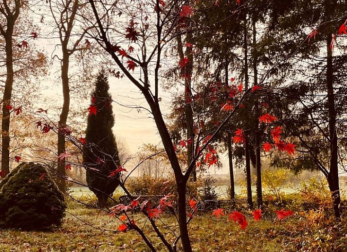 Unterkunft 291118 - Ferienhaus Achterhoek - Vakantiehuisje in Epse