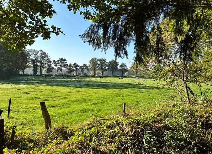 Unterkunft 291118 - Ferienhaus Achterhoek - Vakantiehuisje in Epse