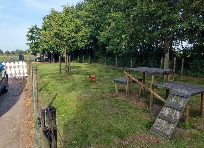 Aussenbereich mit Sitzgelegenheiten im Ferienhaus in Ruurlo, ideal um die laendliche Atmosphaere in Achterhoek, Gelderland, zu geniessen.