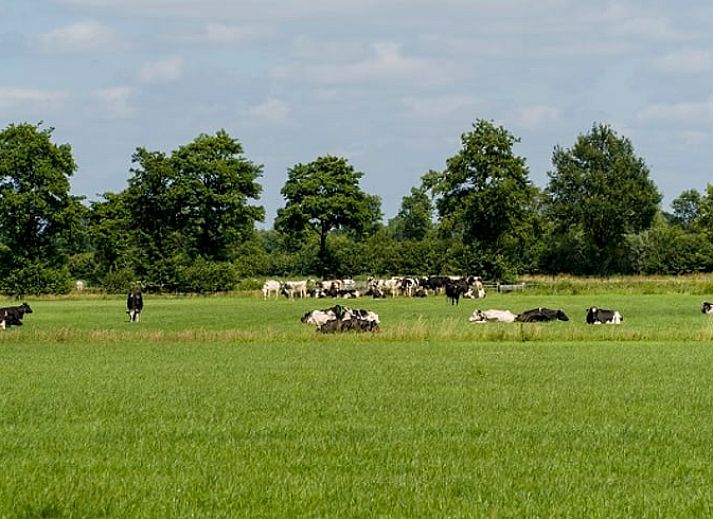 Gemuetliche Kueche im Ferienhaus in Ruurlo, Achterhoek, ausgestattet mit modernen Annehmlichkeiten, mitten im Herzen von Gelderland.