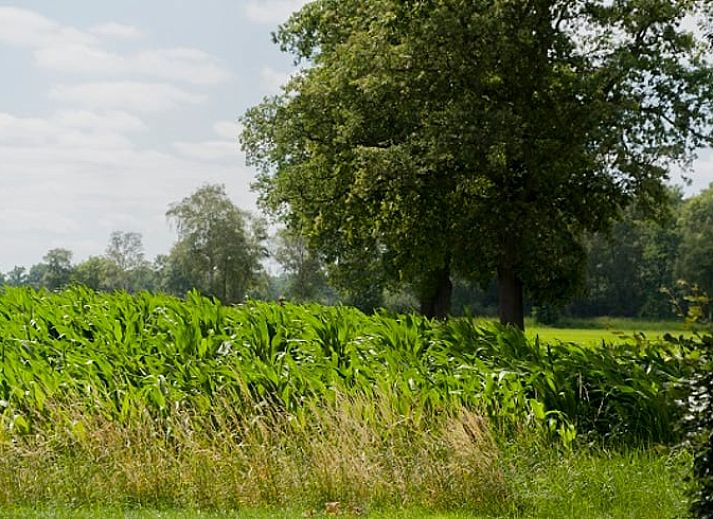 Gemuetliche Kueche im Ferienhaus in Ruurlo, Achterhoek, ausgestattet mit modernen Annehmlichkeiten, mitten im Herzen von Gelderland.