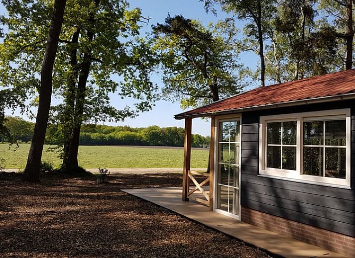 Ferienhaus in Ruurlo mit sonniger Terrasse inmitten der Natur in Achterhoek, Gelderland.