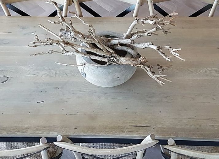 Ruhige Aussicht vom Ferienhaus in Ruurlo auf gruene Felder in Achterhoek, Gelderland.