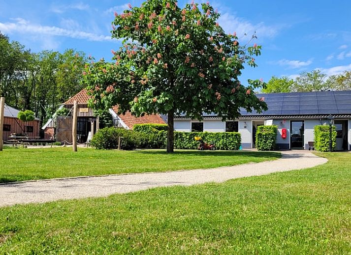 Guest house 291230 • Holiday property Achterhoek • Vakantiehuisje in Ruurlo