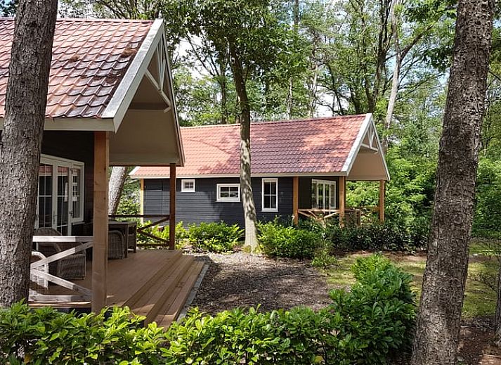 Unterkunft 291233 • Ferienhaus Achterhoek • Natuurhuisje in Ruurlo