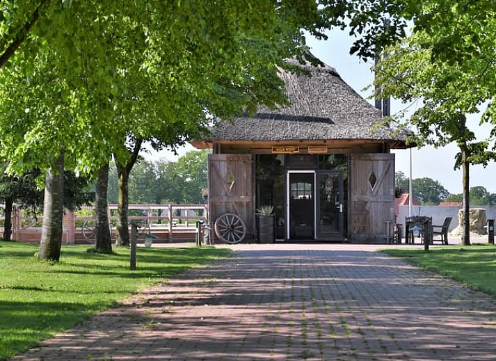 Charmant vakantiehuisje in Ruurlo met rieten dak, omringd door groen in de Achterhoek, Gelderland. Ideale plek voor rust en natuur.