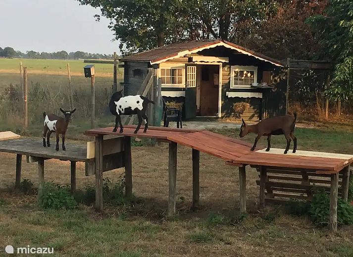 Unterkunft 291241 - Ferienhaus Achterhoek - 't Pothuus 2P huis in de Achterhoek