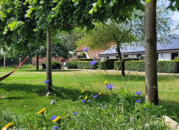 Unterkunft 291243 - Ferienhaus Achterhoek - Vakantiehuis Achterhoek